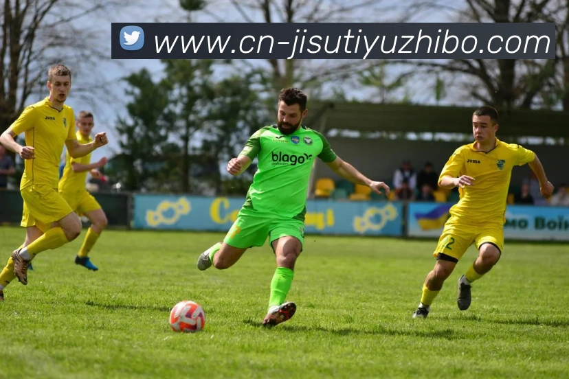 多媒体互动体验